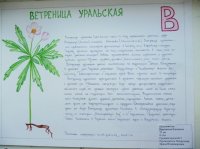 Макеевская Елизавета, 13 лет , СОШ № 5